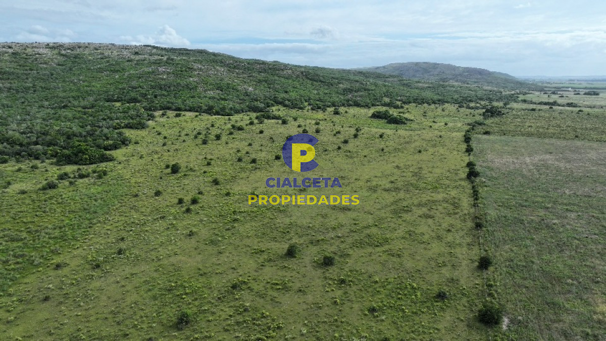 Campo Ref.400 - 61 hectáreas en Maldonado