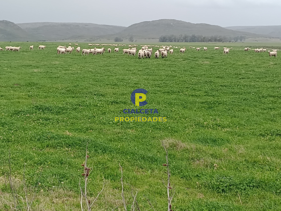 Campo Ref.505 - 110 hectáreas agrícolas ganaderas