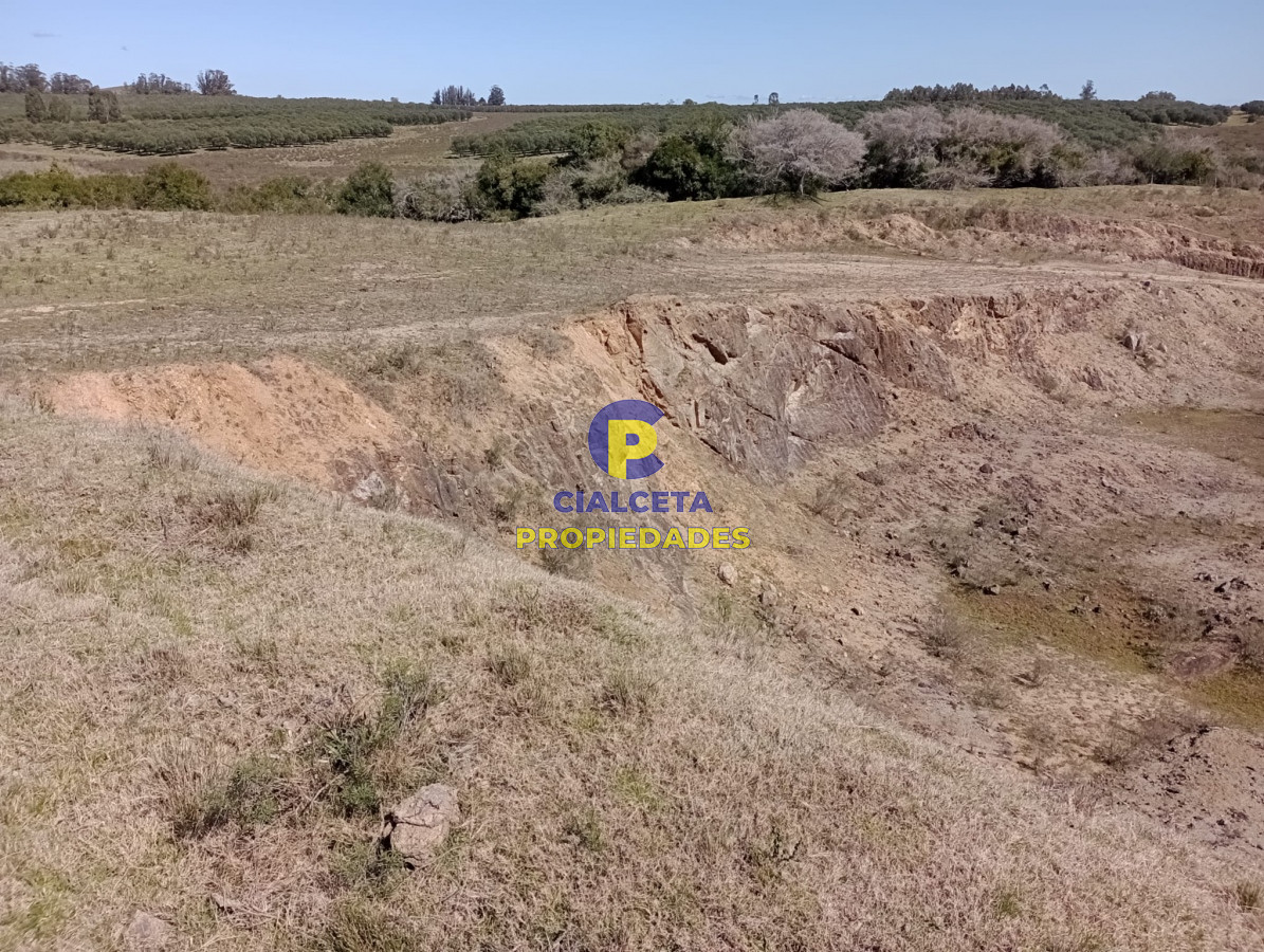 Campo Ref.307 - 16 hectáreas en Maldonado
