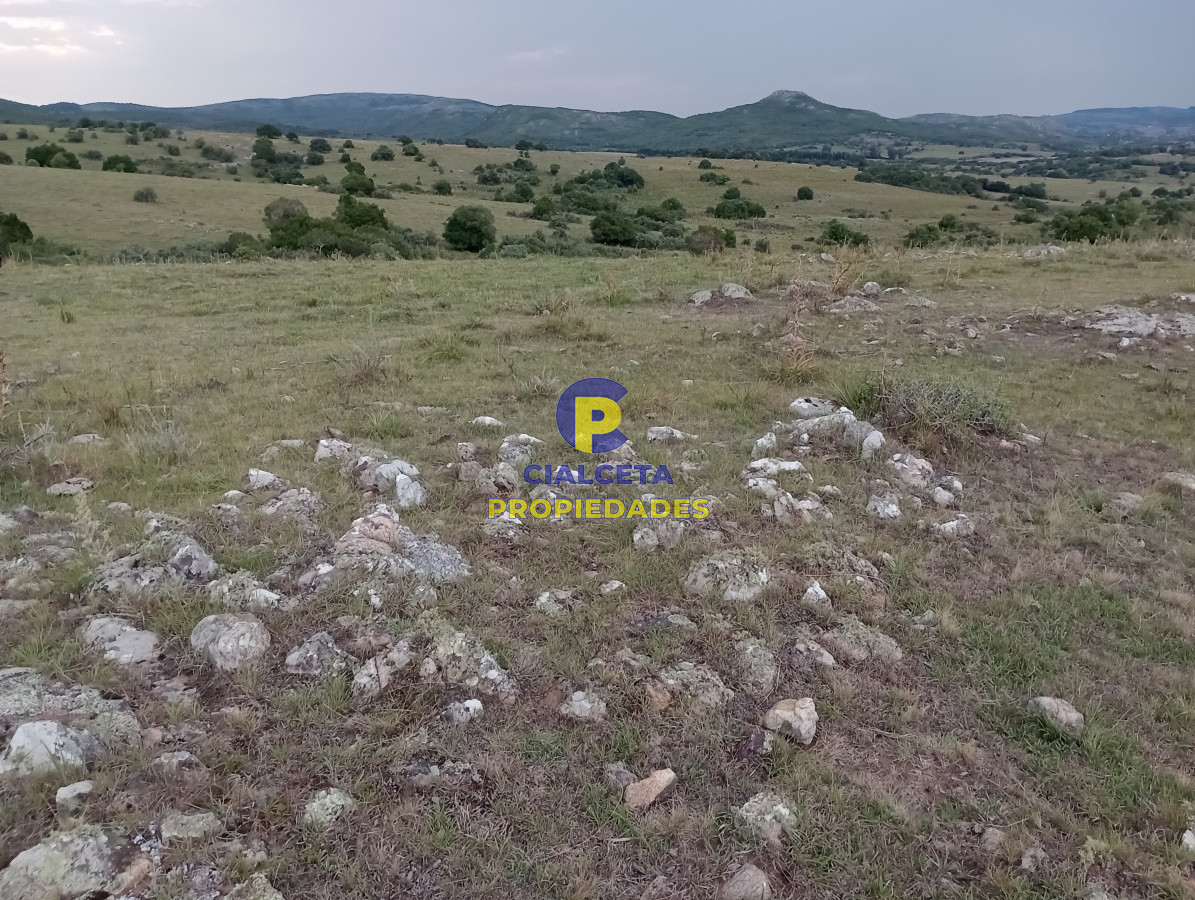 Campo Ref.183 - Chacras de 5 hectáreas
