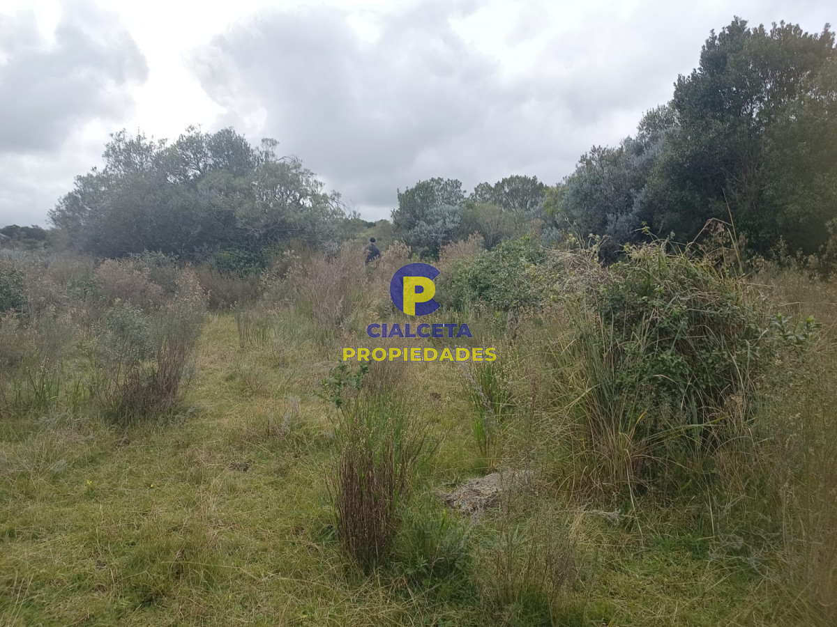 Campo Ref.440 - 38 hectáreas en Aiguá