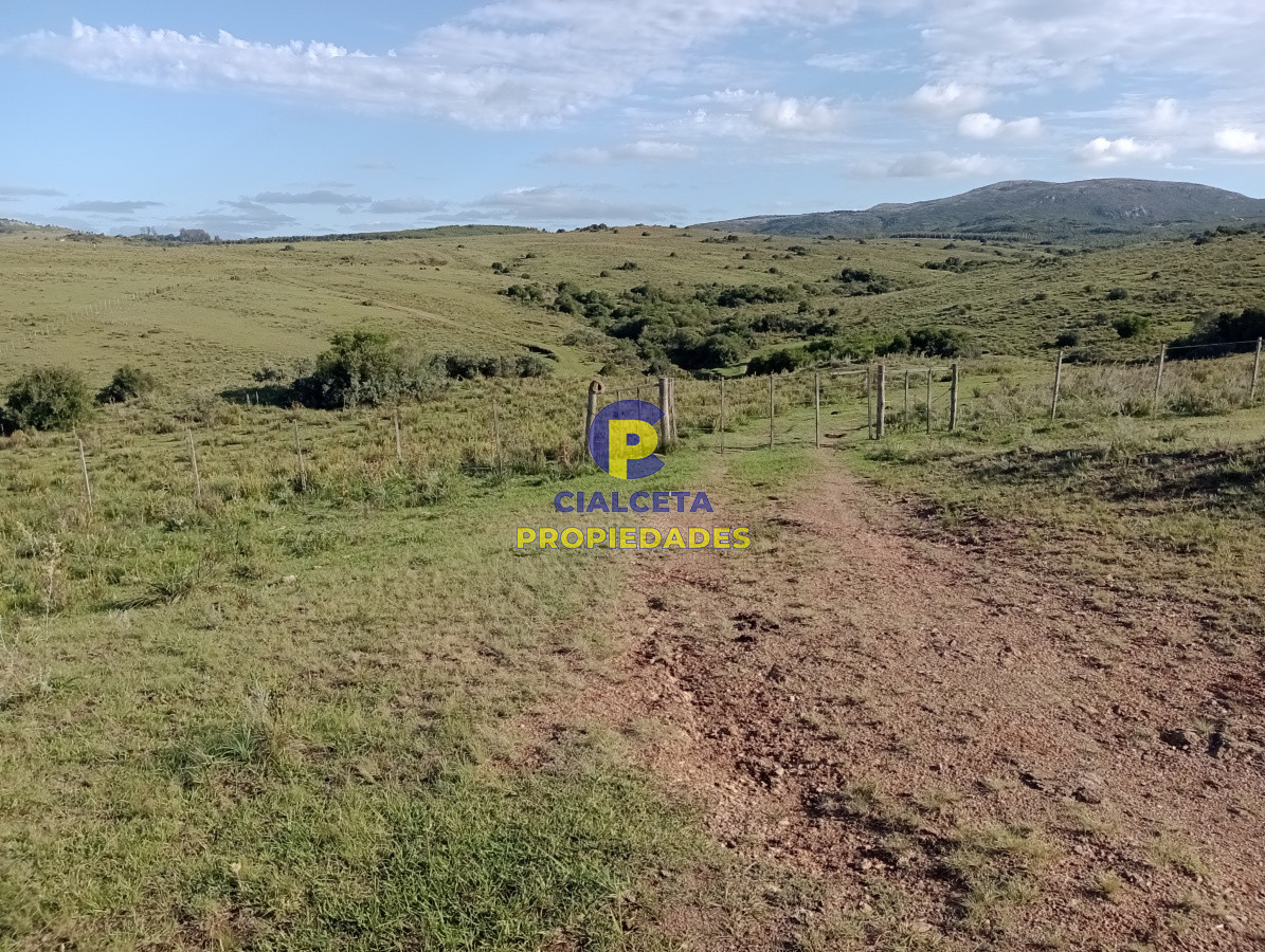 Campo Ref.140 - 153 hectáreas en Maldonado