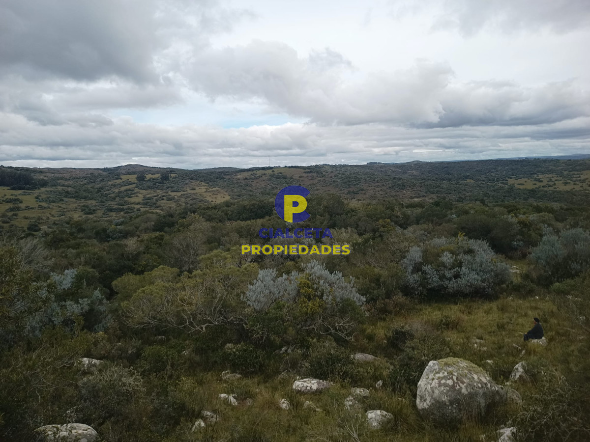 Campo Ref.440 - 38 hectáreas en Aiguá
