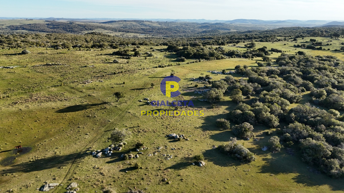 Campo Ref.512 - 55 hectáreas con tajamar y monte nativo