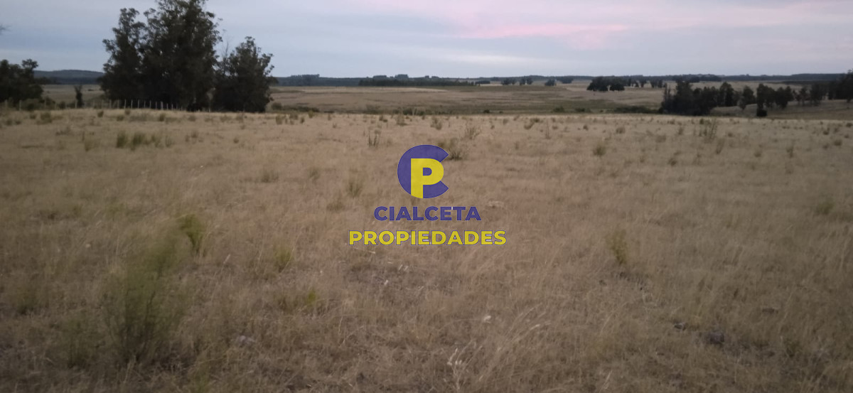 40 hectáreas en Lavalleja - GoPunta - Portal Inmobiliario de Punta del Este - Maldonado