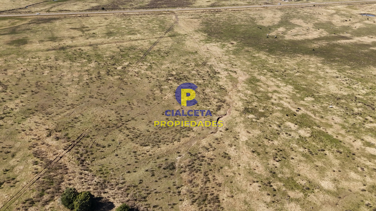 Campo Ref.500 - 92 hectáreas con cañada y buen acceso