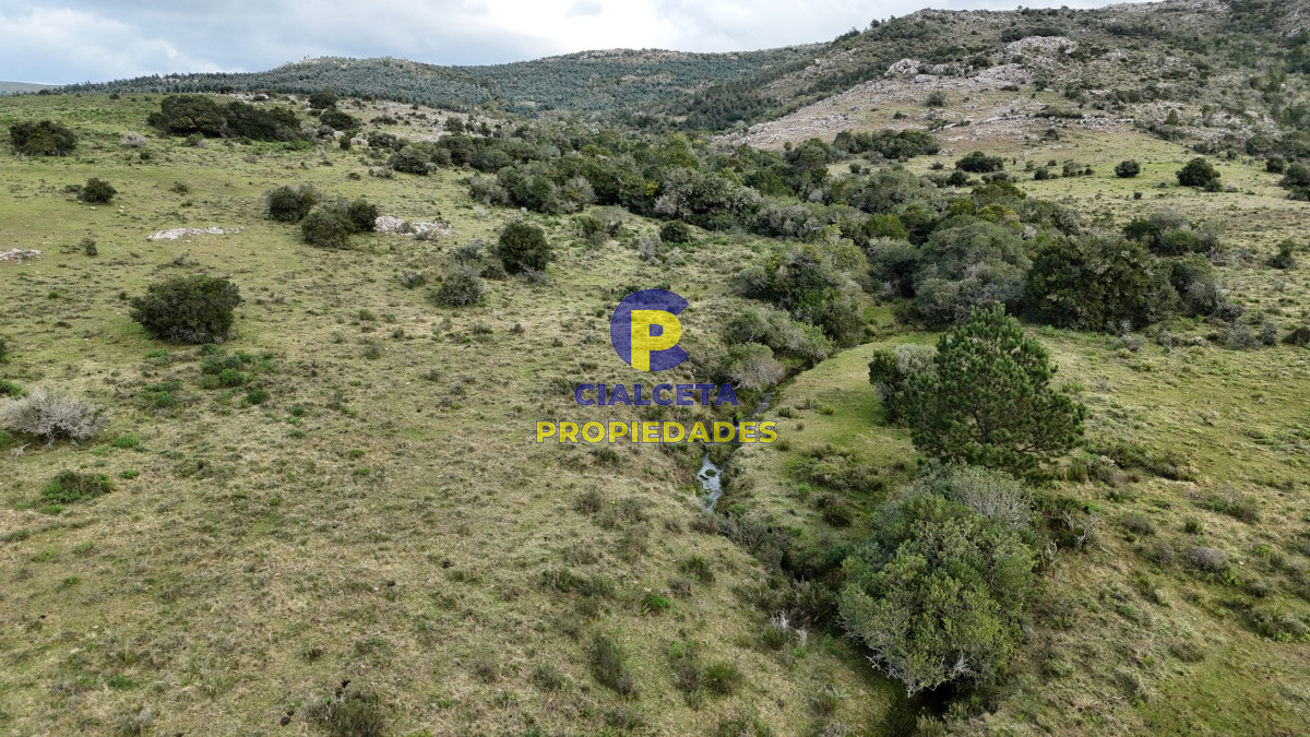 Campo Ref.459 - 25 hectáreas con 7 mil metros en Lavalleja, con cañada