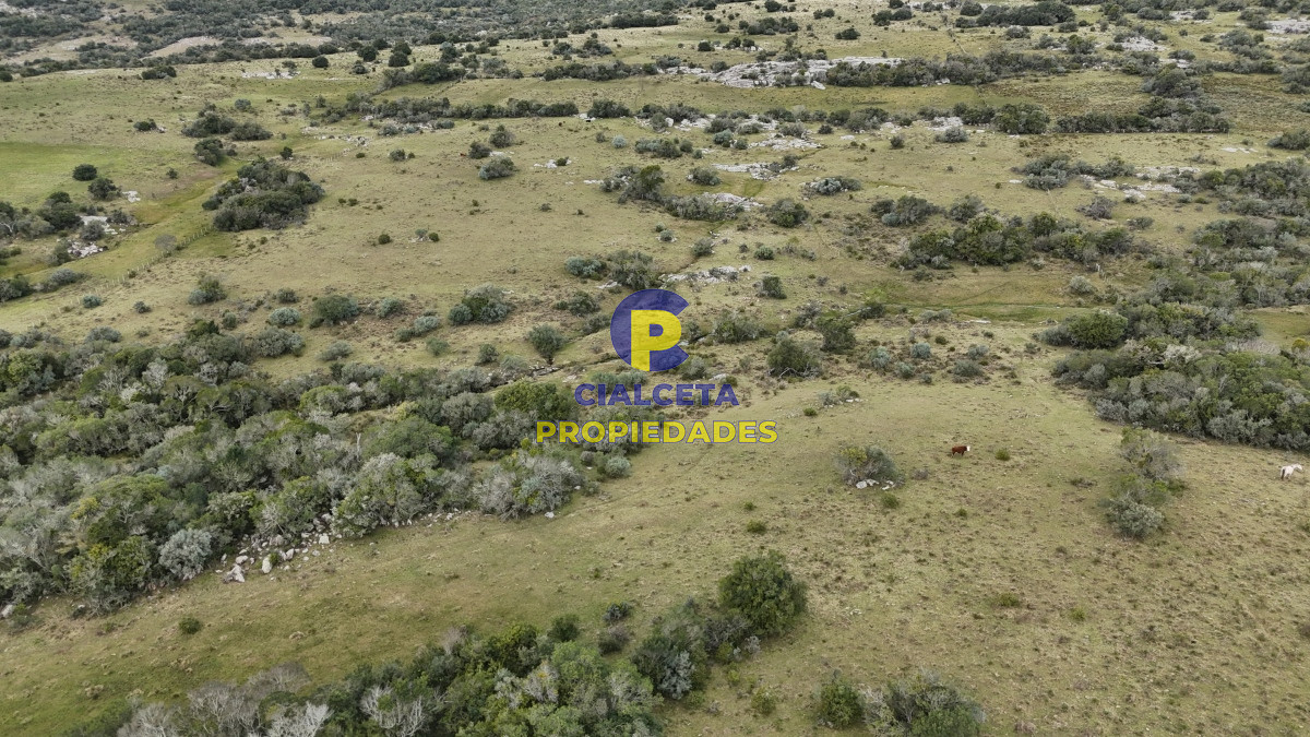 26 hectáreas y media con cañada - GoPunta - Portal Inmobiliario de Punta del Este - Maldonado