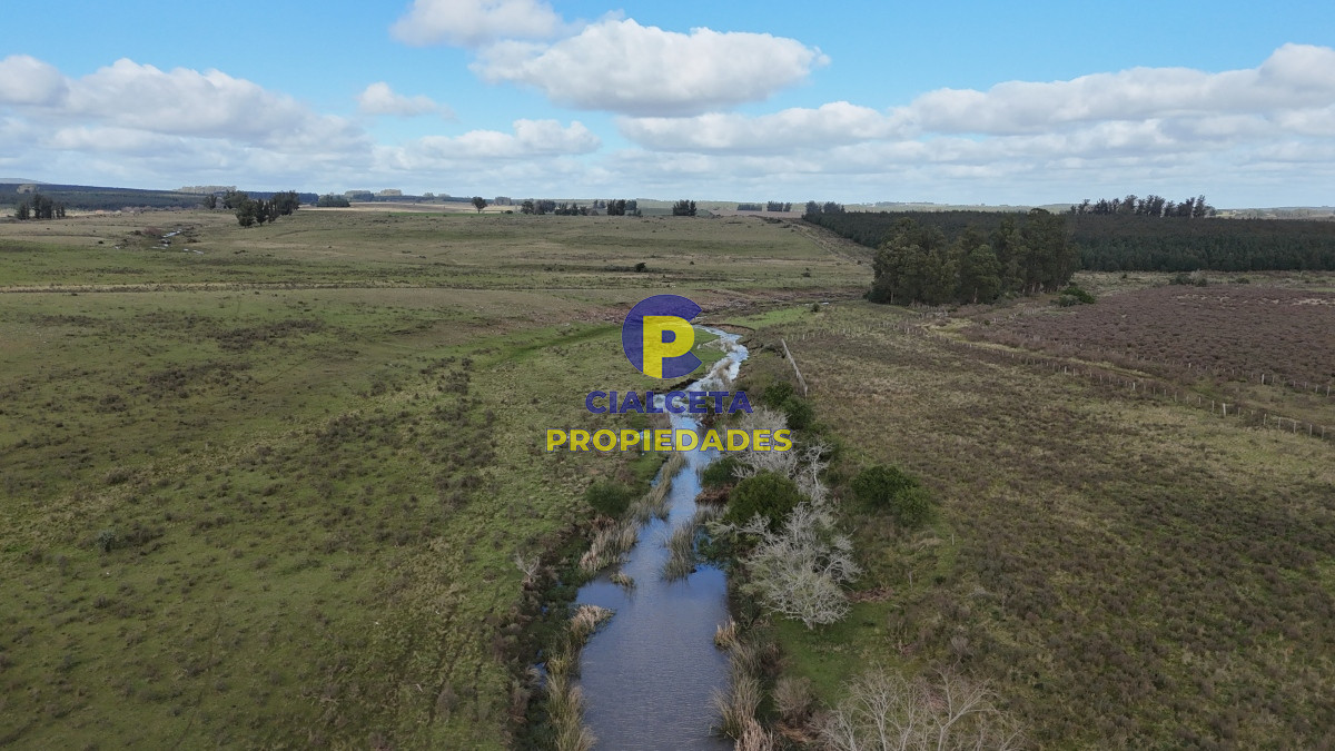 292 hectáreas a 120 km de Montevideo con arroyo - GoPunta - Portal Inmobiliario de Punta del Este - Maldonado