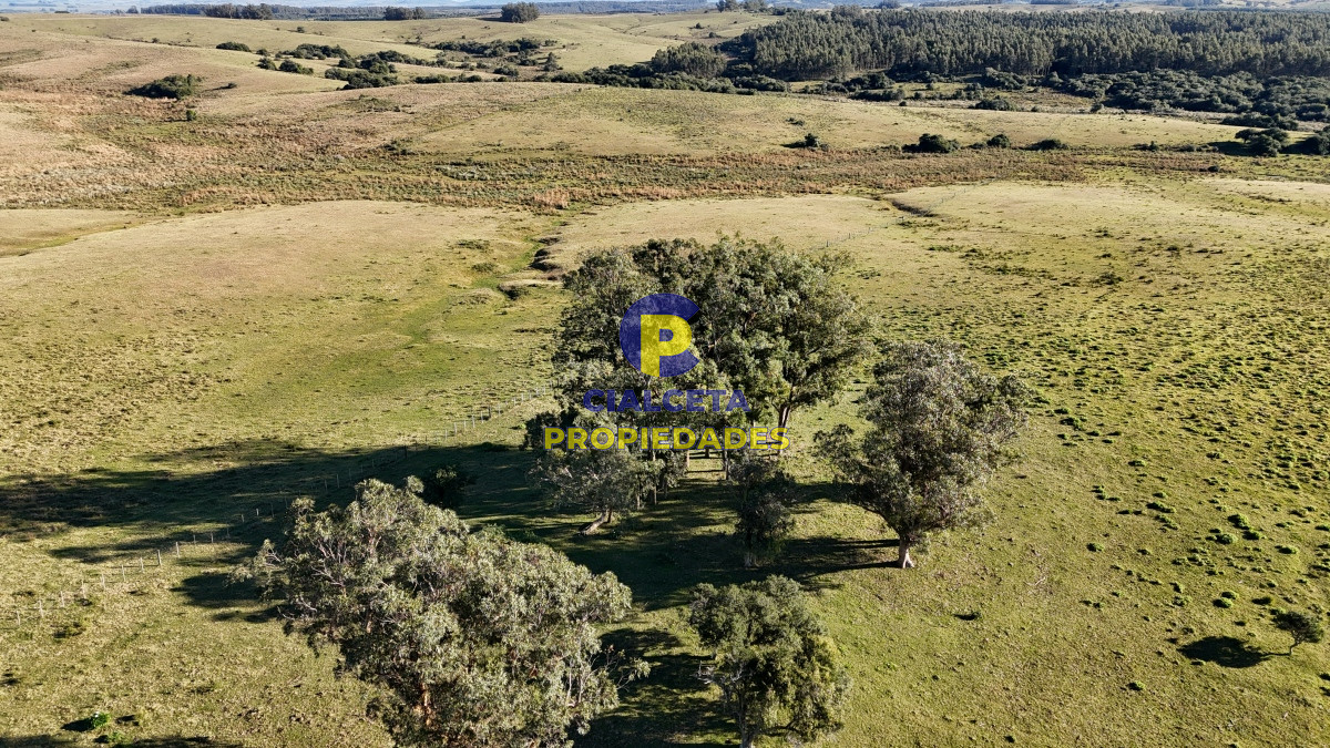Campo Ref.469 - 19 hectáreas en Maldonado