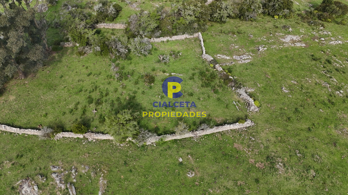 Campo Ref.537 - 149 hectáreas con arroyo en Lavalleja