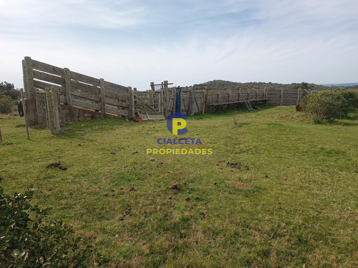 80 hectáreas en Maldonado - GoPunta - Portal Inmobiliario de Punta del Este - Maldonado