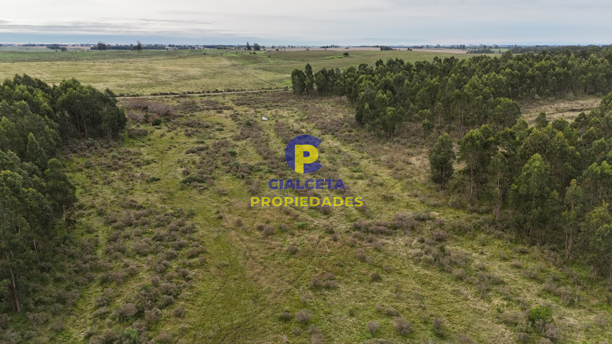 39 hectáreas y media en Canelones - GoPunta - Portal Inmobiliario de Punta del Este - Maldonado