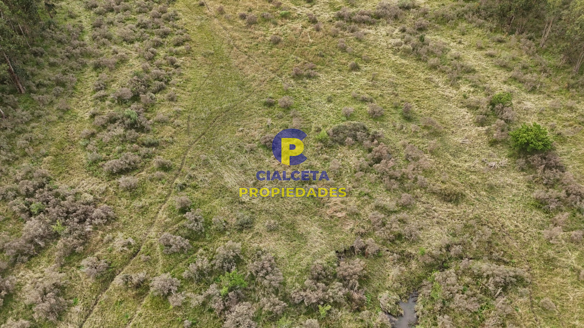 39 hectáreas y media en Canelones - GoPunta - Portal Inmobiliario de Punta del Este - Maldonado