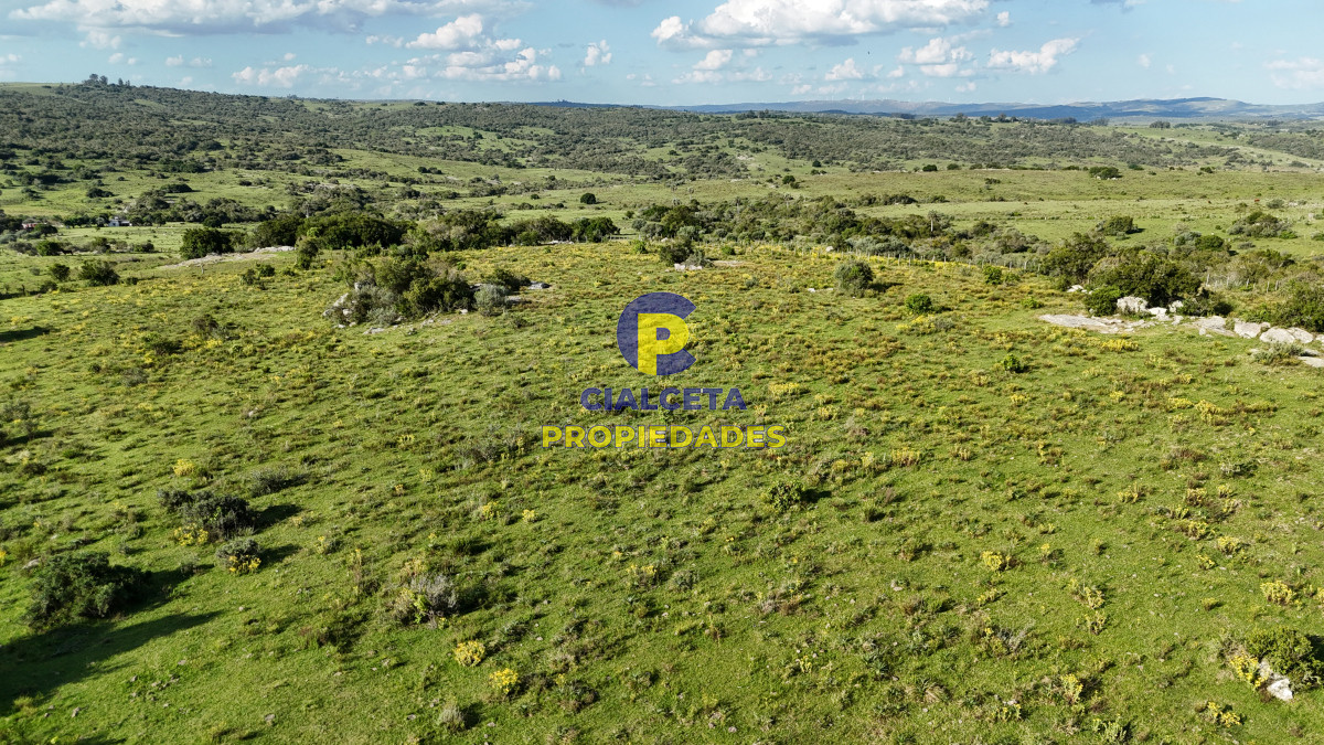 Campo Ref.548 - 30 hectáreas a 35 km de San Carlos