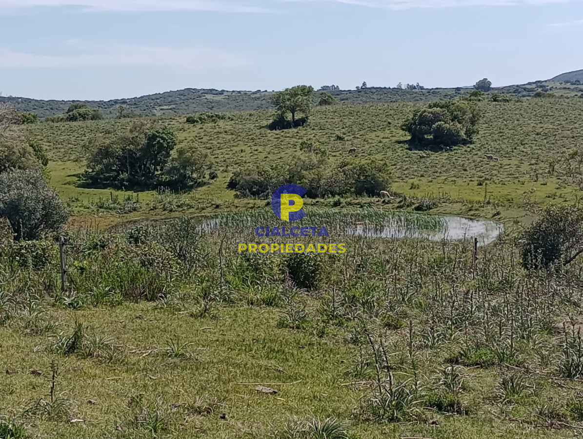 54 hectáreas con 9.722 metros en Maldonado - GoPunta - Portal Inmobiliario de Punta del Este - Maldonado