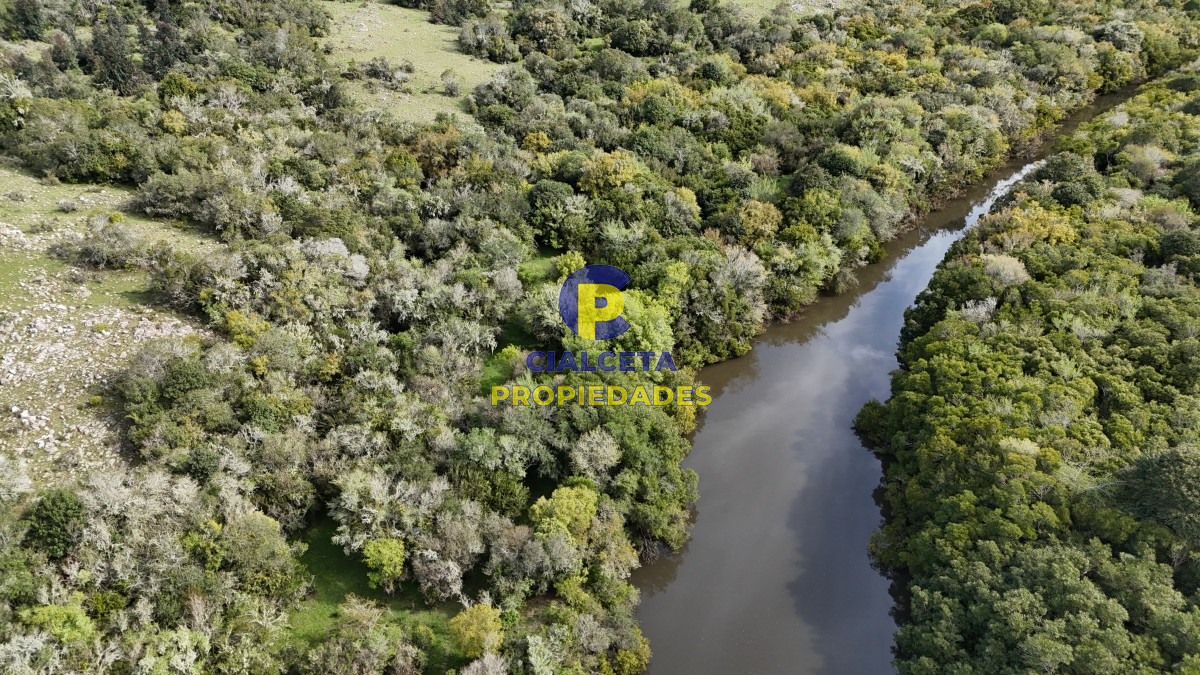 149 hectáreas con arroyo en Lavalleja - GoPunta - Portal Inmobiliario de Punta del Este - Maldonado