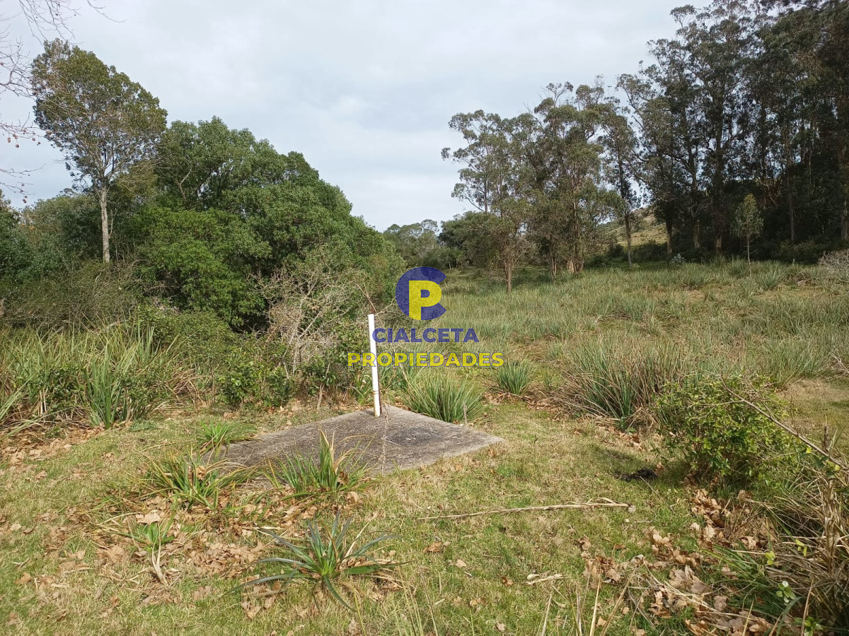 80 hectáreas en Maldonado - GoPunta - Portal Inmobiliario de Punta del Este - Maldonado