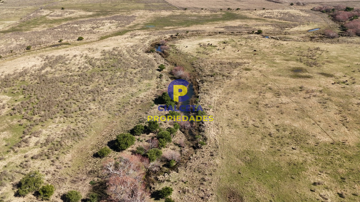 Campo Ref.500 - 92 hectáreas con cañada y buen acceso