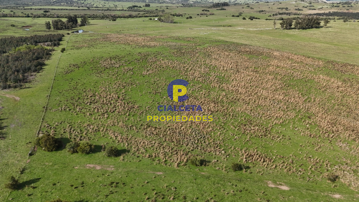 Campo Ref.537 - 149 hectáreas con arroyo en Lavalleja