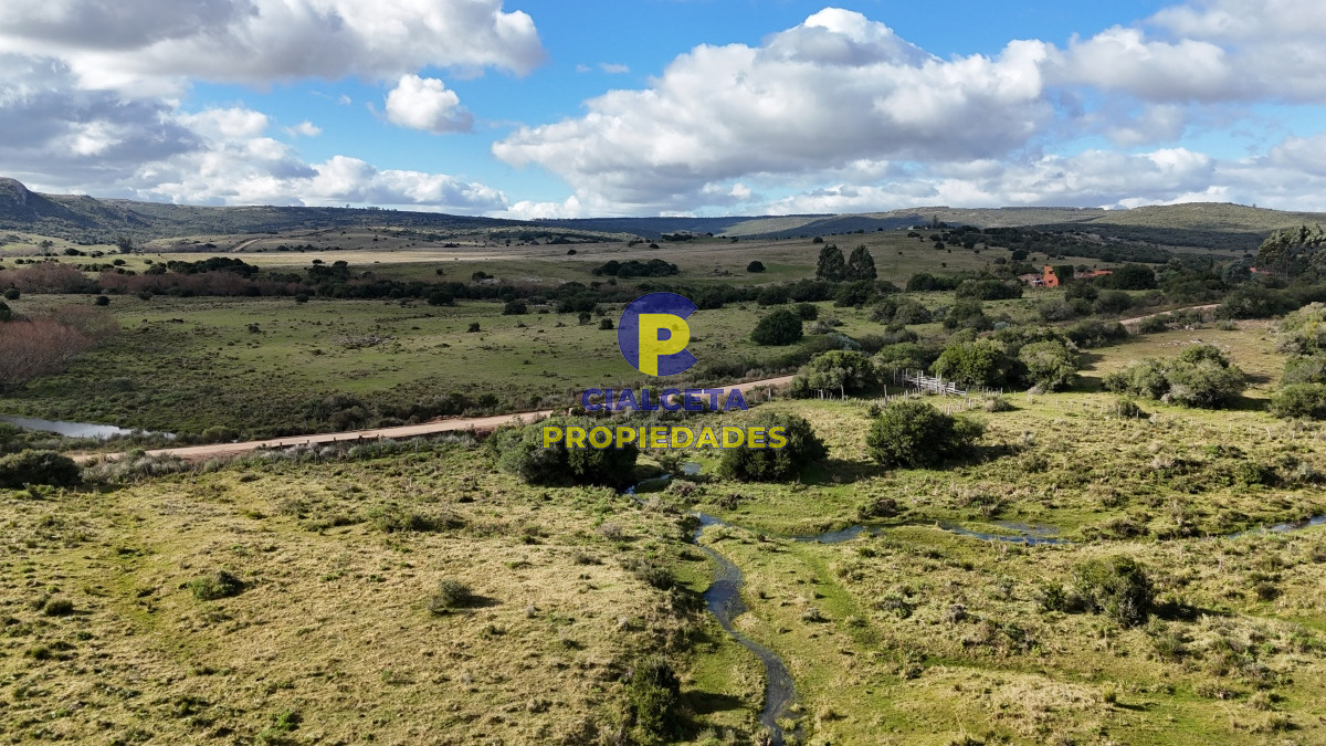 Campo Ref.459 - 25 hectáreas con 7 mil metros en Lavalleja, con cañada