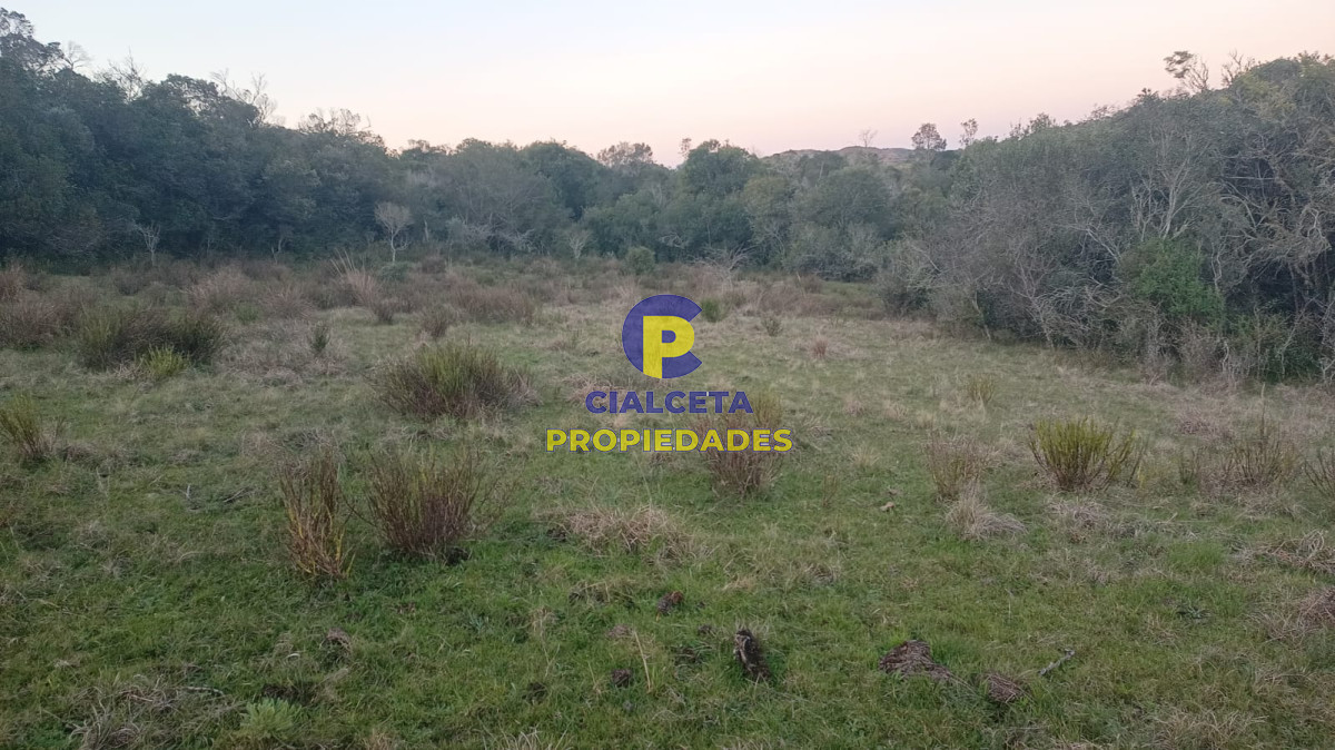 5  hectáreas con monte nativo y linda vista - GoPunta - Portal Inmobiliario de Punta del Este - Maldonado