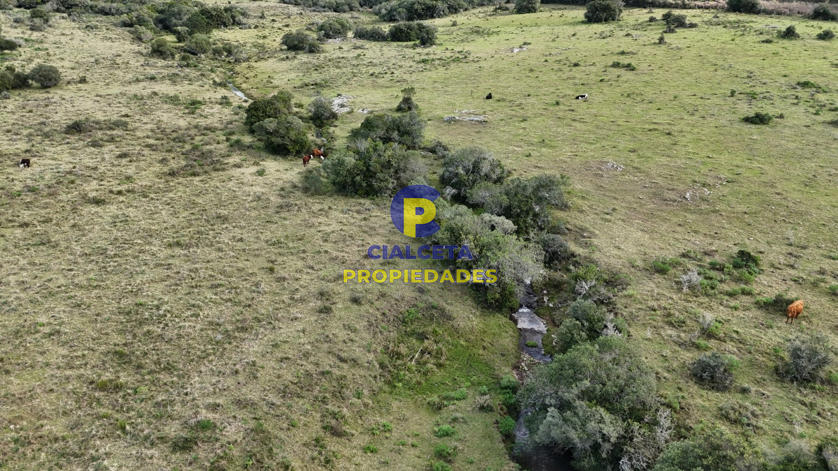 Campo Ref.459 - 25 hectáreas con 7 mil metros en Lavalleja, con cañada