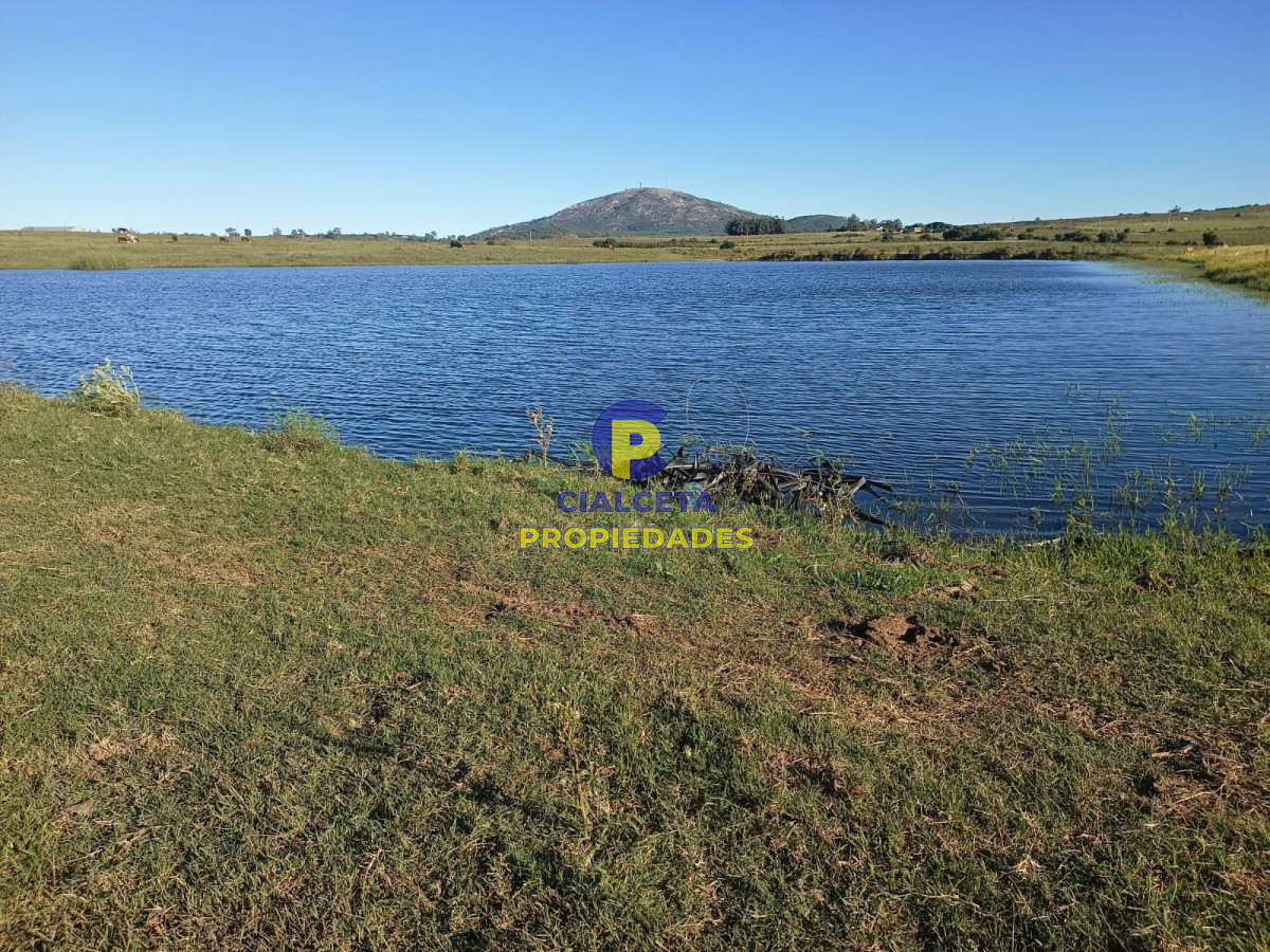 32 hectáreas con represa y galpones - GoPunta - Portal Inmobiliario de Punta del Este - Maldonado