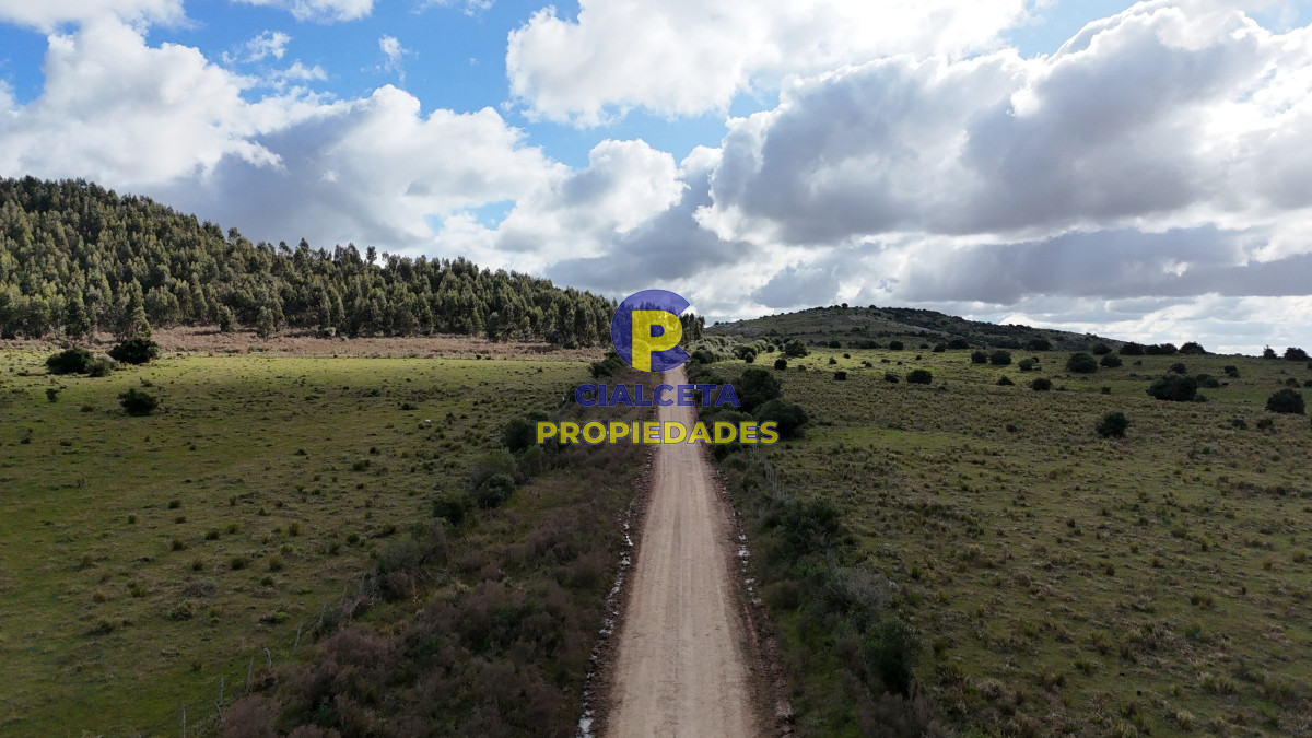 25 hectáreas con 7 mil metros en Lavalleja, con cañada - GoPunta - Portal Inmobiliario de Punta del Este - Maldonado