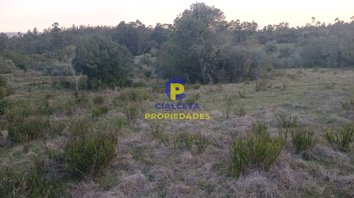 5  hectáreas con monte nativo y linda vista - GoPunta - Portal Inmobiliario de Punta del Este - Maldonado