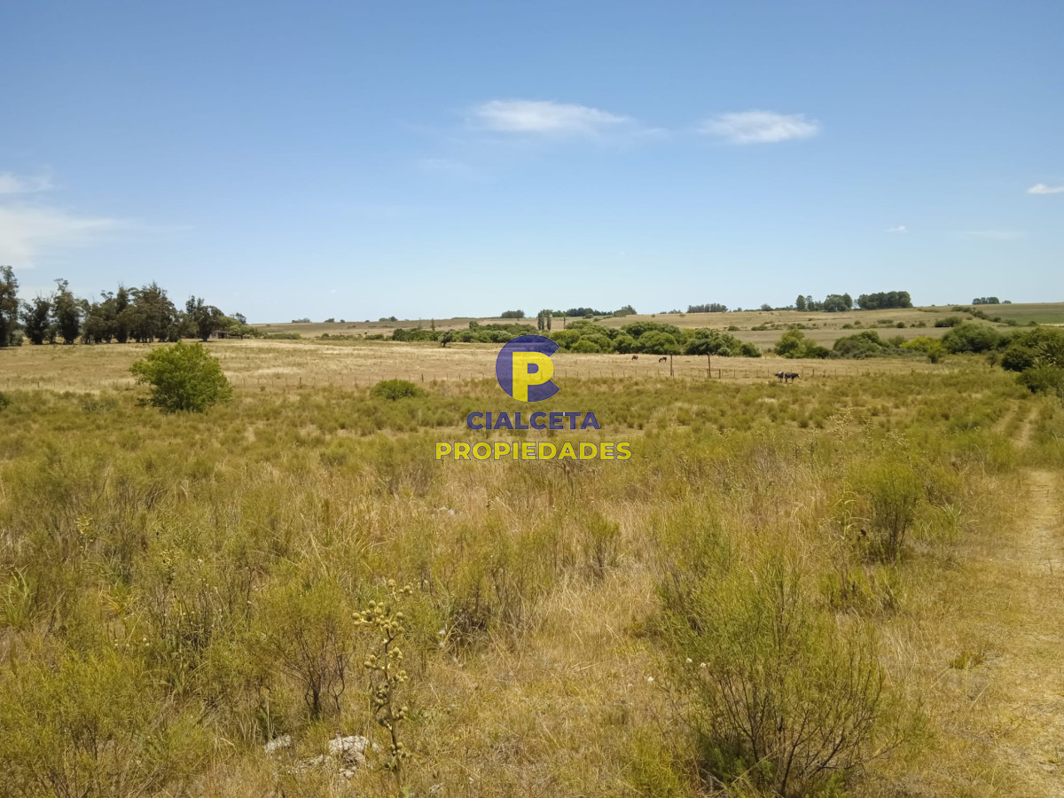 23 hectáreas en Lavalleja con arroyo - GoPunta - Portal Inmobiliario de Punta del Este - Maldonado