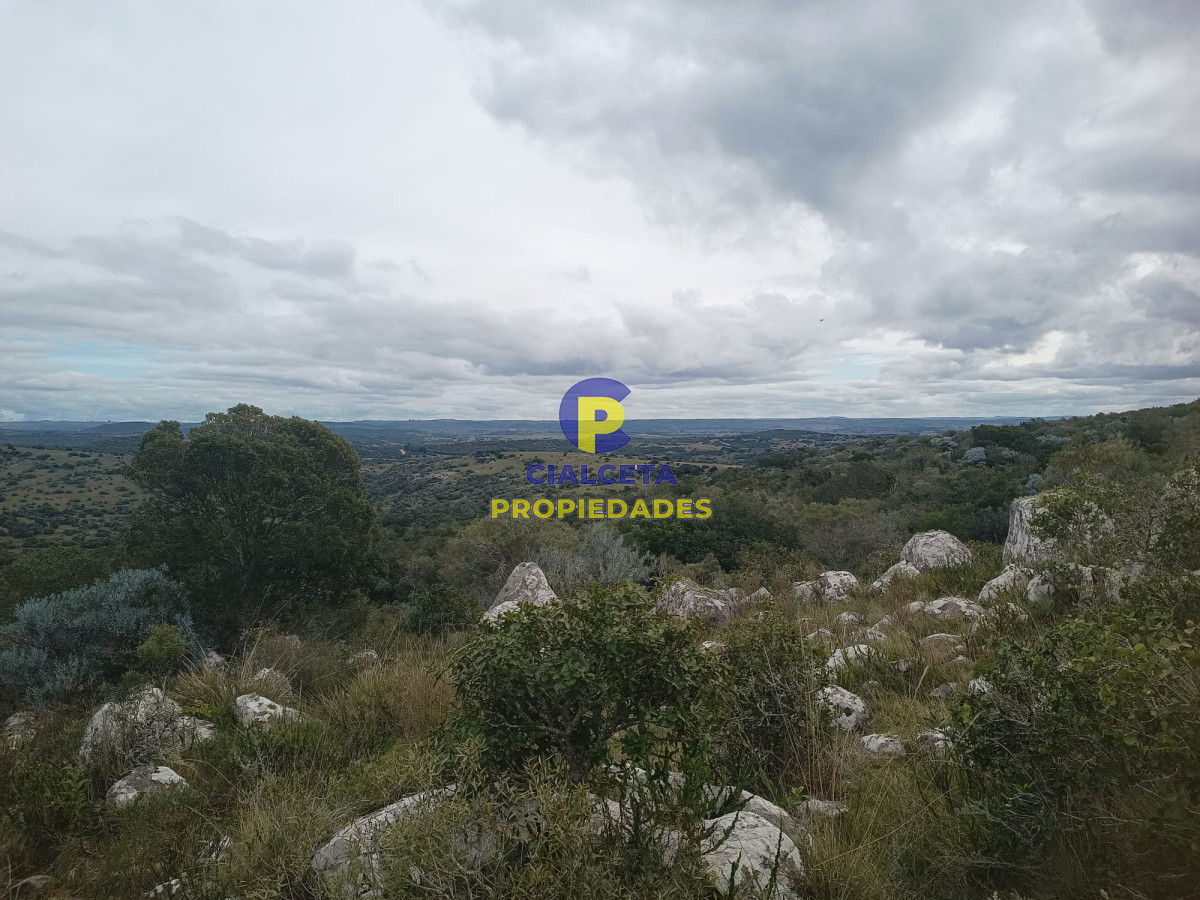 38 hectáreas en Aiguá - GoPunta - Portal Inmobiliario de Punta del Este - Maldonado