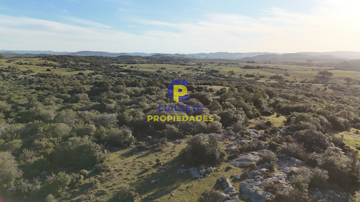 55 hectáreas con tajamar y monte nativo - GoPunta - Portal Inmobiliario de Punta del Este - Maldonado