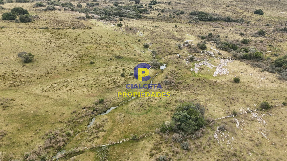267 hectáreas en Maldonado - GoPunta - Portal Inmobiliario de Punta del Este - Maldonado