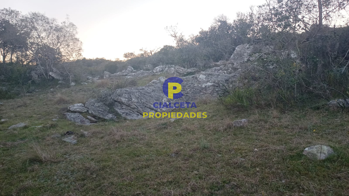 5  hectáreas con monte nativo y linda vista - GoPunta - Portal Inmobiliario de Punta del Este - Maldonado