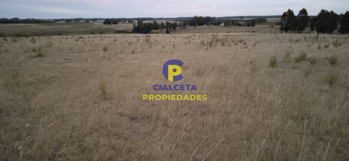40 hectáreas en Lavalleja - GoPunta - Portal Inmobiliario de Punta del Este - Maldonado