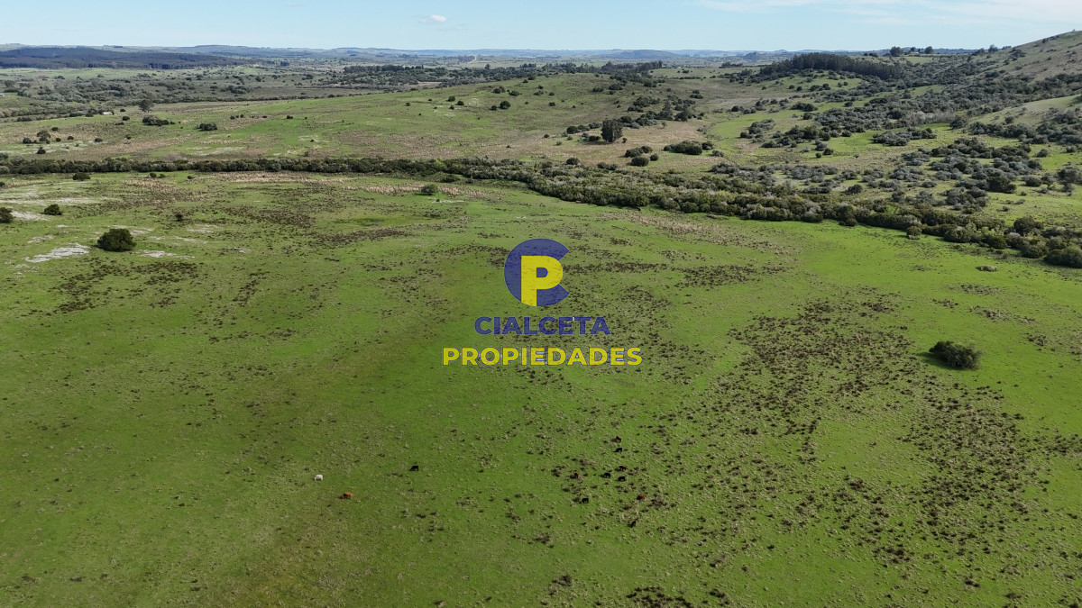 Campo Ref.537 - 149 hectáreas con arroyo en Lavalleja