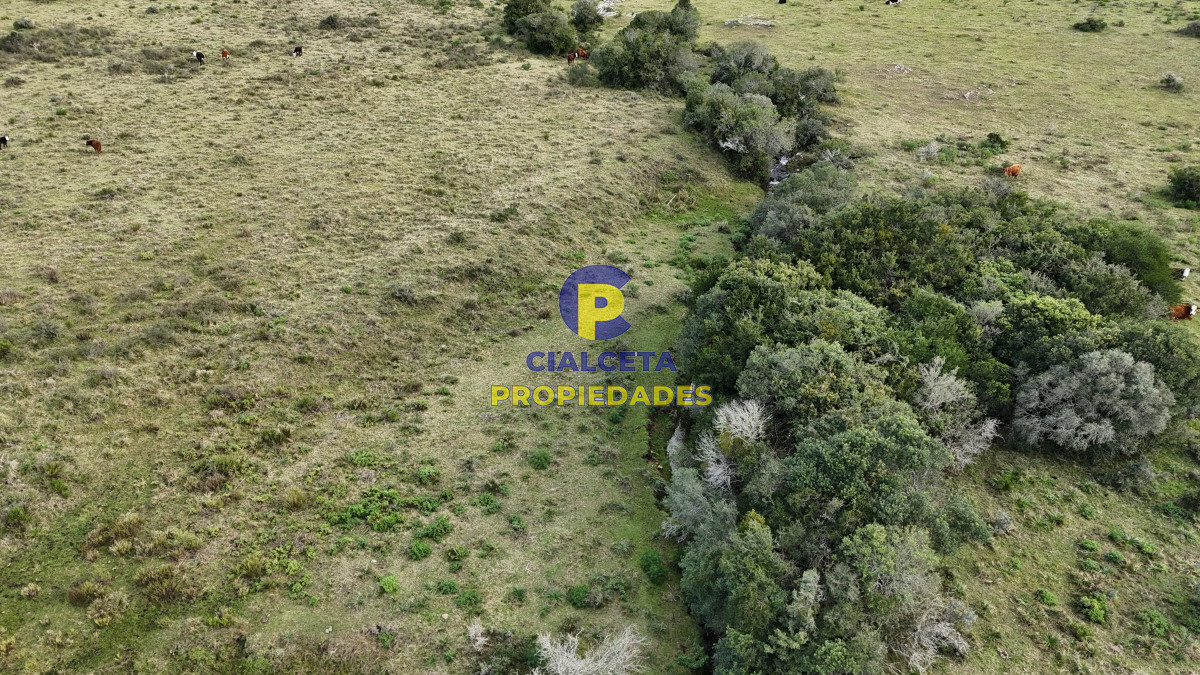 25 hectáreas con 7 mil metros en Lavalleja, con cañada - GoPunta - Portal Inmobiliario de Punta del Este - Maldonado