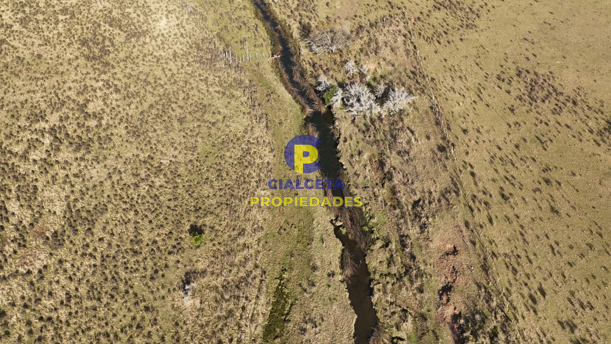 Campo Ref.497 - 40 hectáreas en Lavalleja a 10 km de Minas