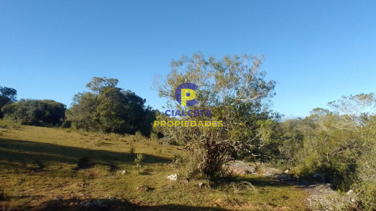 41 hectáreas y media en Maldonado, Aigua - GoPunta - Portal Inmobiliario de Punta del Este - Maldonado