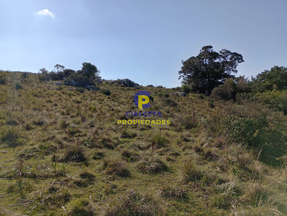 7 hectáreas en Maldonado, sobre camino - GoPunta - Portal Inmobiliario de Punta del Este - Maldonado
