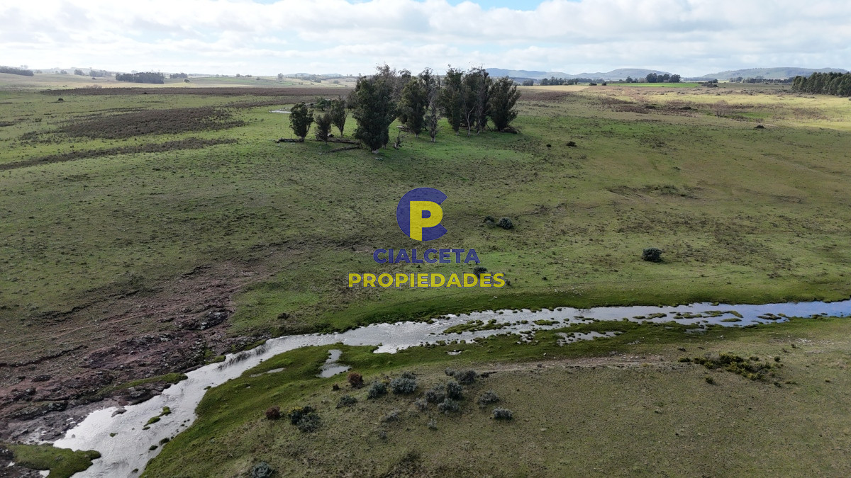 292 hectáreas a 120 km de Montevideo con arroyo - GoPunta - Portal Inmobiliario de Punta del Este - Maldonado