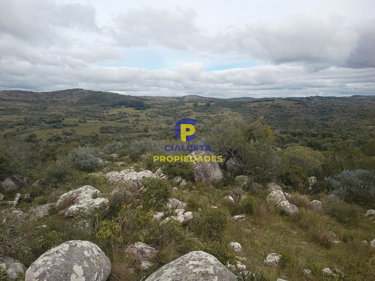 38 hectáreas en Aiguá - GoPunta - Portal Inmobiliario de Punta del Este - Maldonado