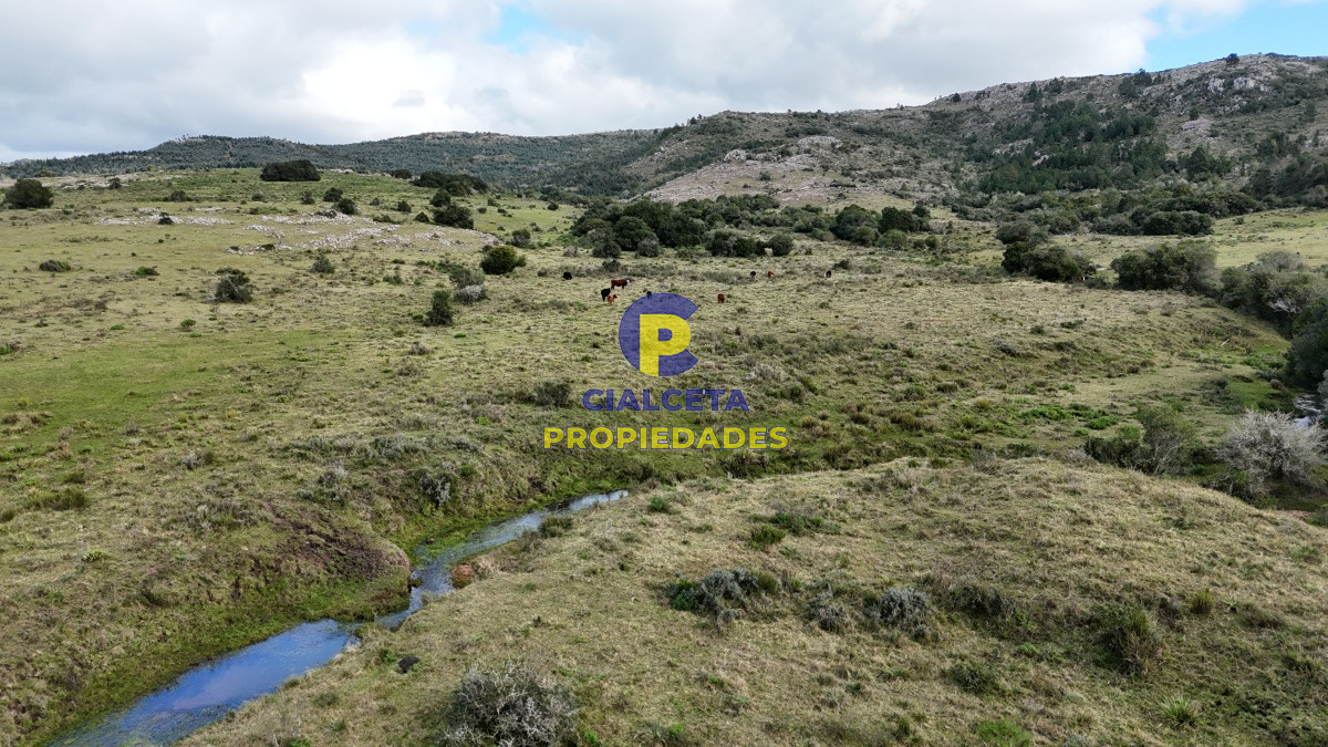 25 hectáreas con 7 mil metros en Lavalleja, con cañada - GoPunta - Portal Inmobiliario de Punta del Este - Maldonado