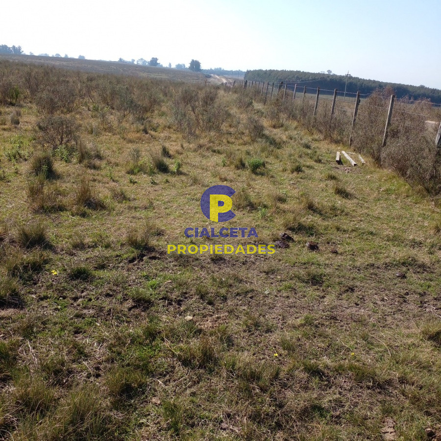 Campo Ref.97 - 130 hectáreas en Canelones