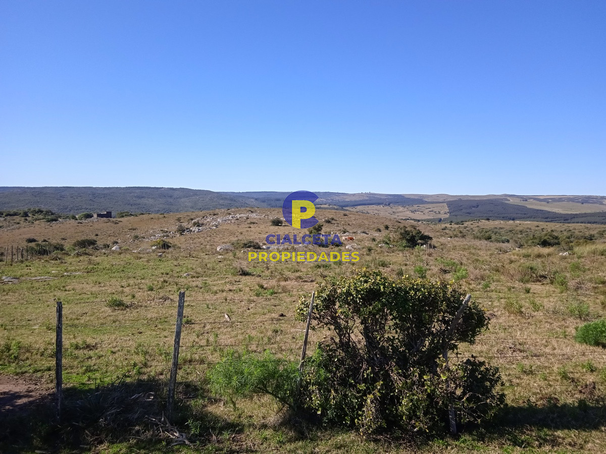 Campo Ref.131 - 29 hectáreas en Minas