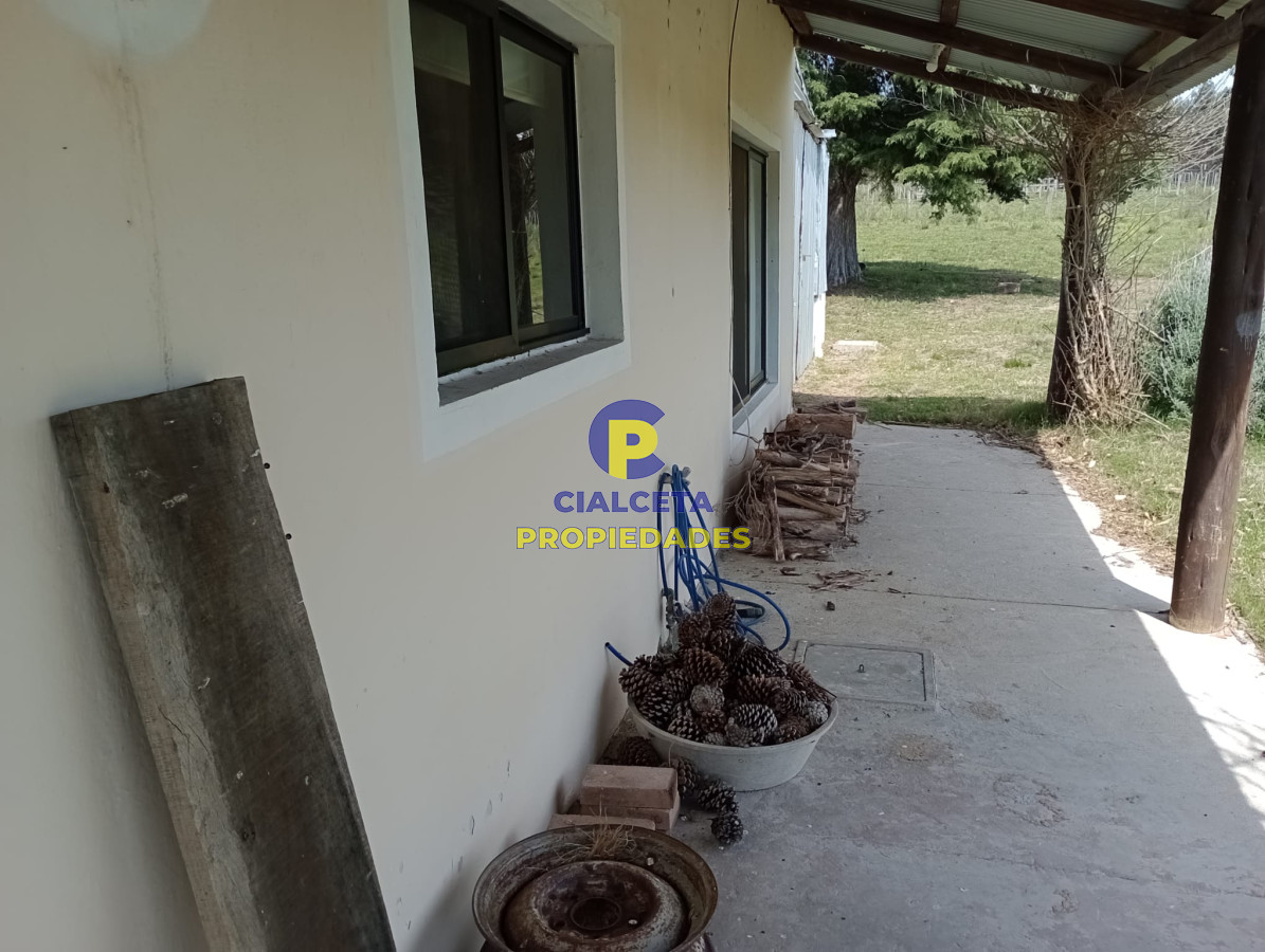 73 hectáreas en Canelones - GoPunta - Portal Inmobiliario de Punta del Este - Maldonado