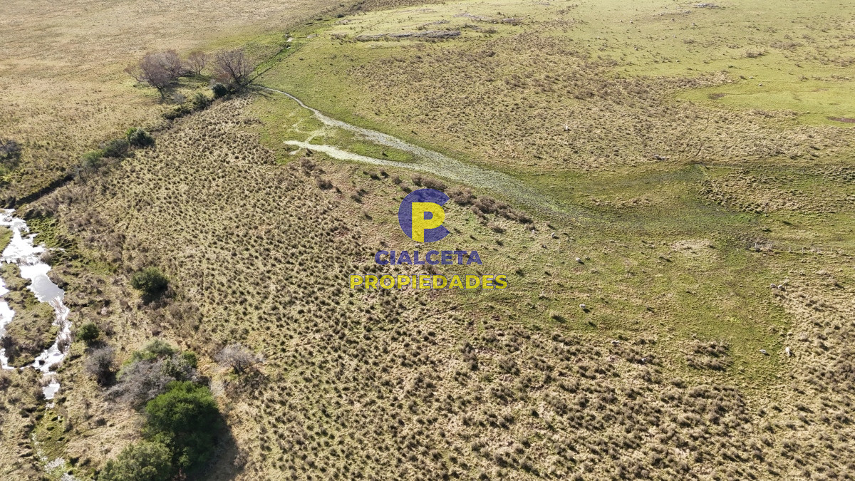 Campo Ref.497 - 40 hectáreas en Lavalleja a 10 km de Minas