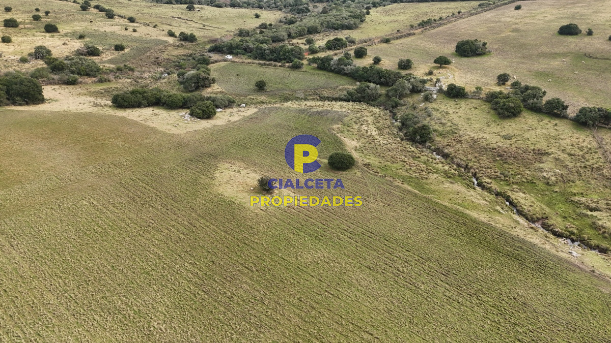 Campo Ref.490 - 267 hectáreas en Maldonado