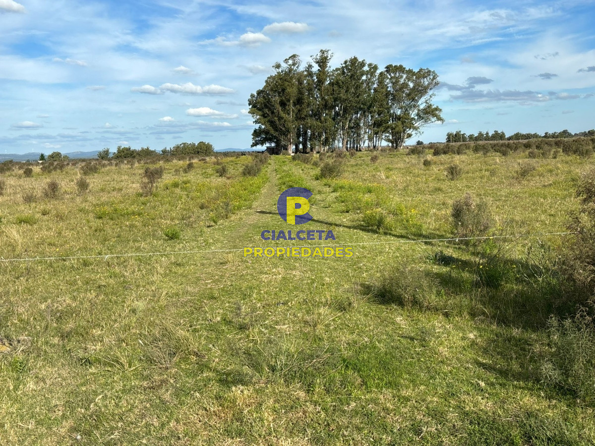 15 hectáreas de buena tierra - GoPunta - Portal Inmobiliario de Punta del Este - Maldonado